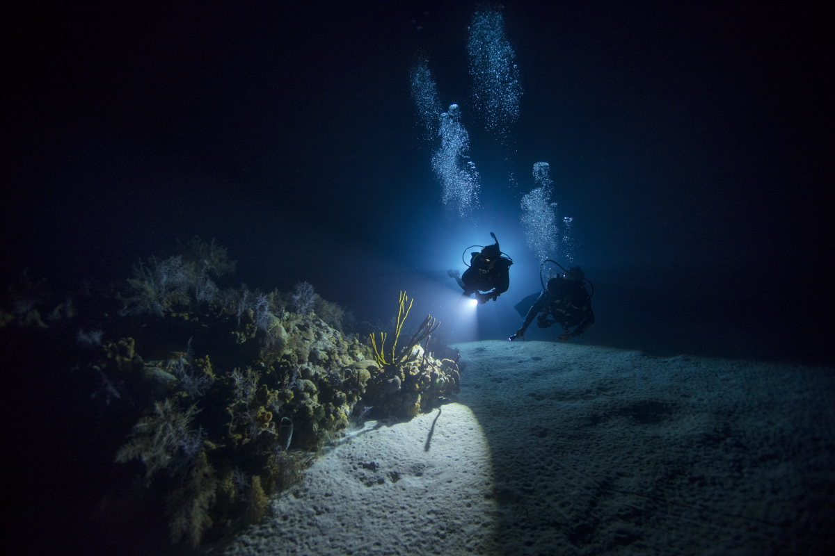 Naktinis nardymo kursas (Night diver) | Divemen