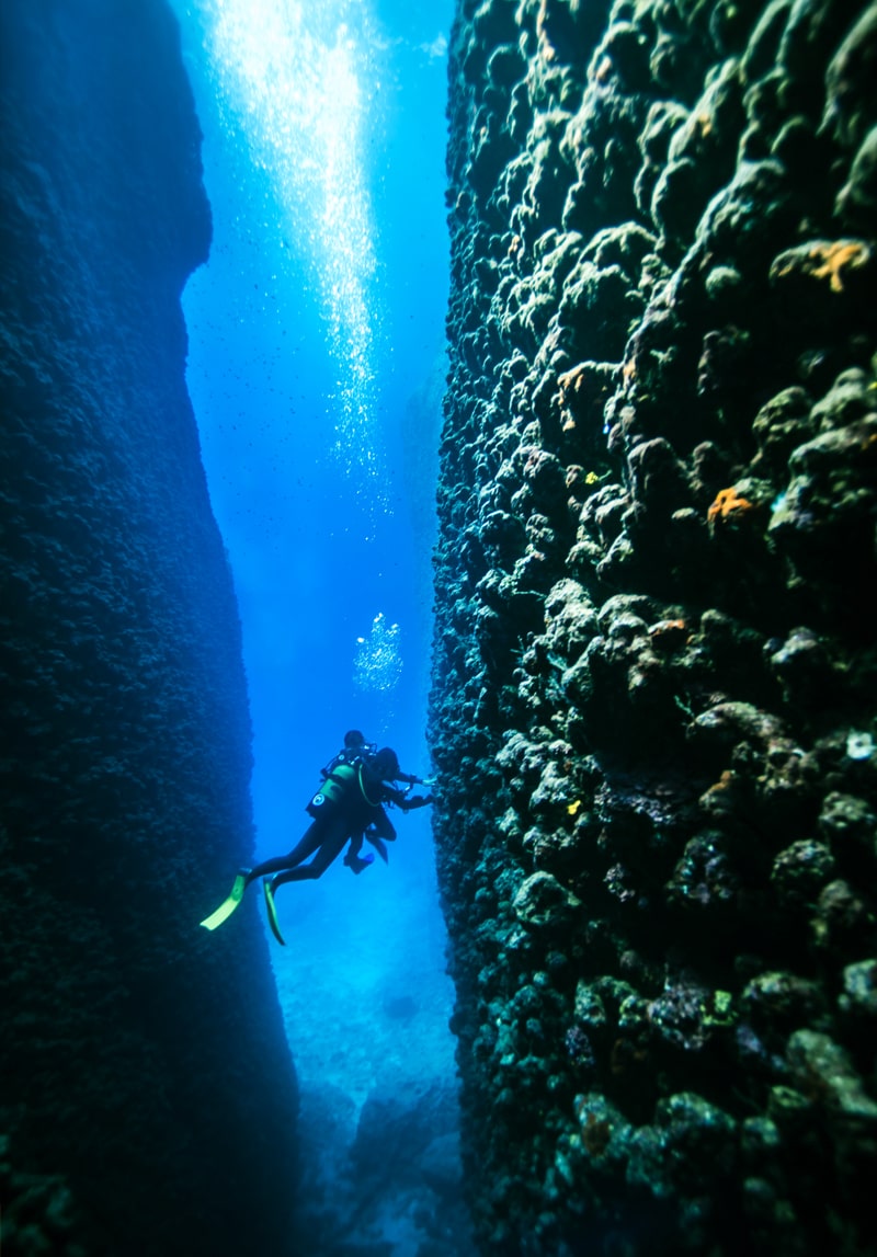 Nardymo kursai | Divemen