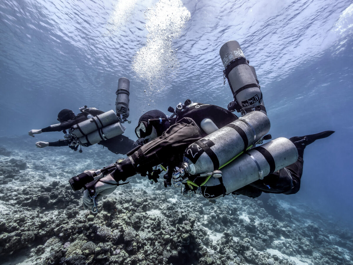 TEC 50 PADI | Divemen nardymo kursai